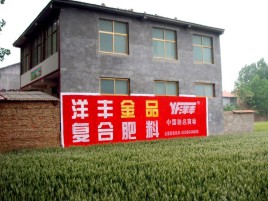 旬邑如何让墙体广告展现最大化效果
